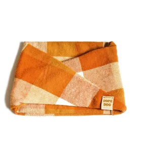 Pumpkin Spice Dog Scarf