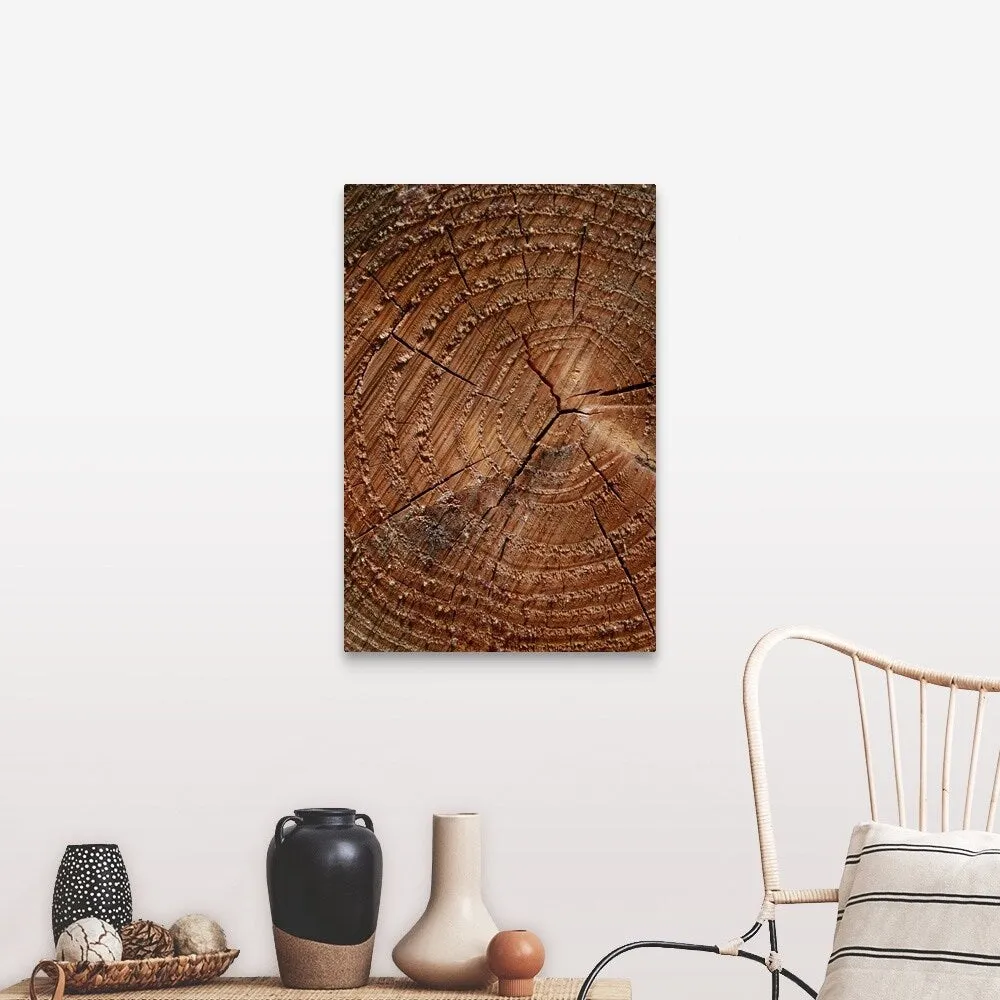 "A close up of tree rings" Canvas Wall Art