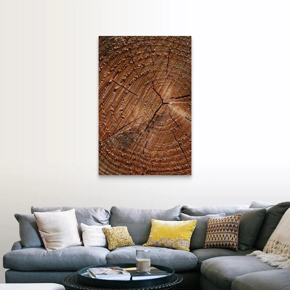 "A close up of tree rings" Canvas Wall Art