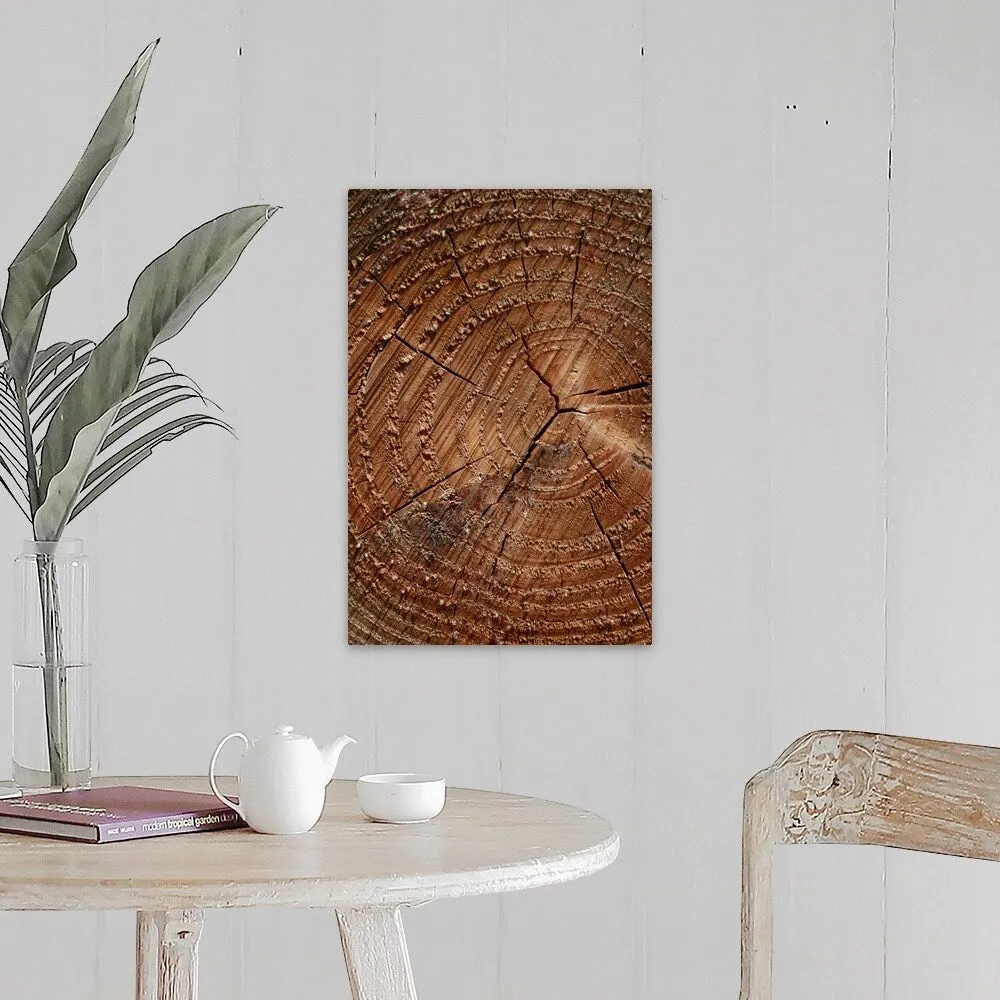 "A close up of tree rings" Canvas Wall Art