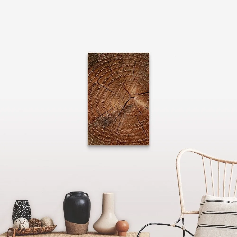 "A close up of tree rings" Canvas Wall Art