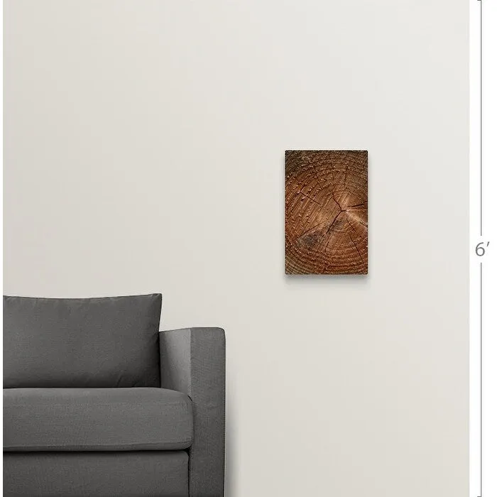 "A close up of tree rings" Canvas Wall Art