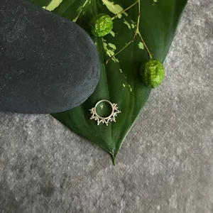 Rays Septum Ring