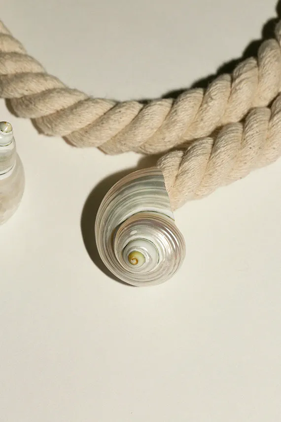 Seashell Rope Belt