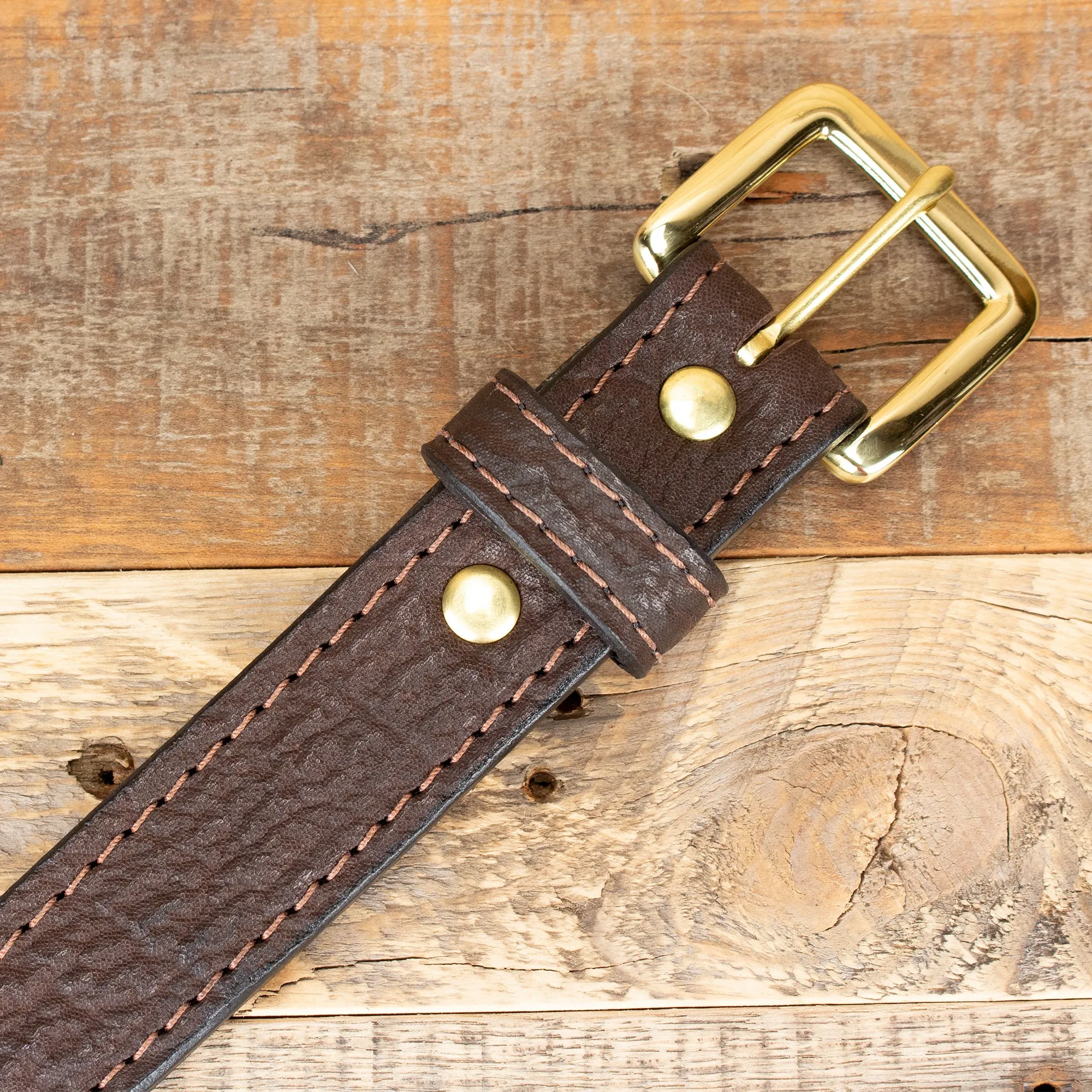 Shark Brown Money Belt