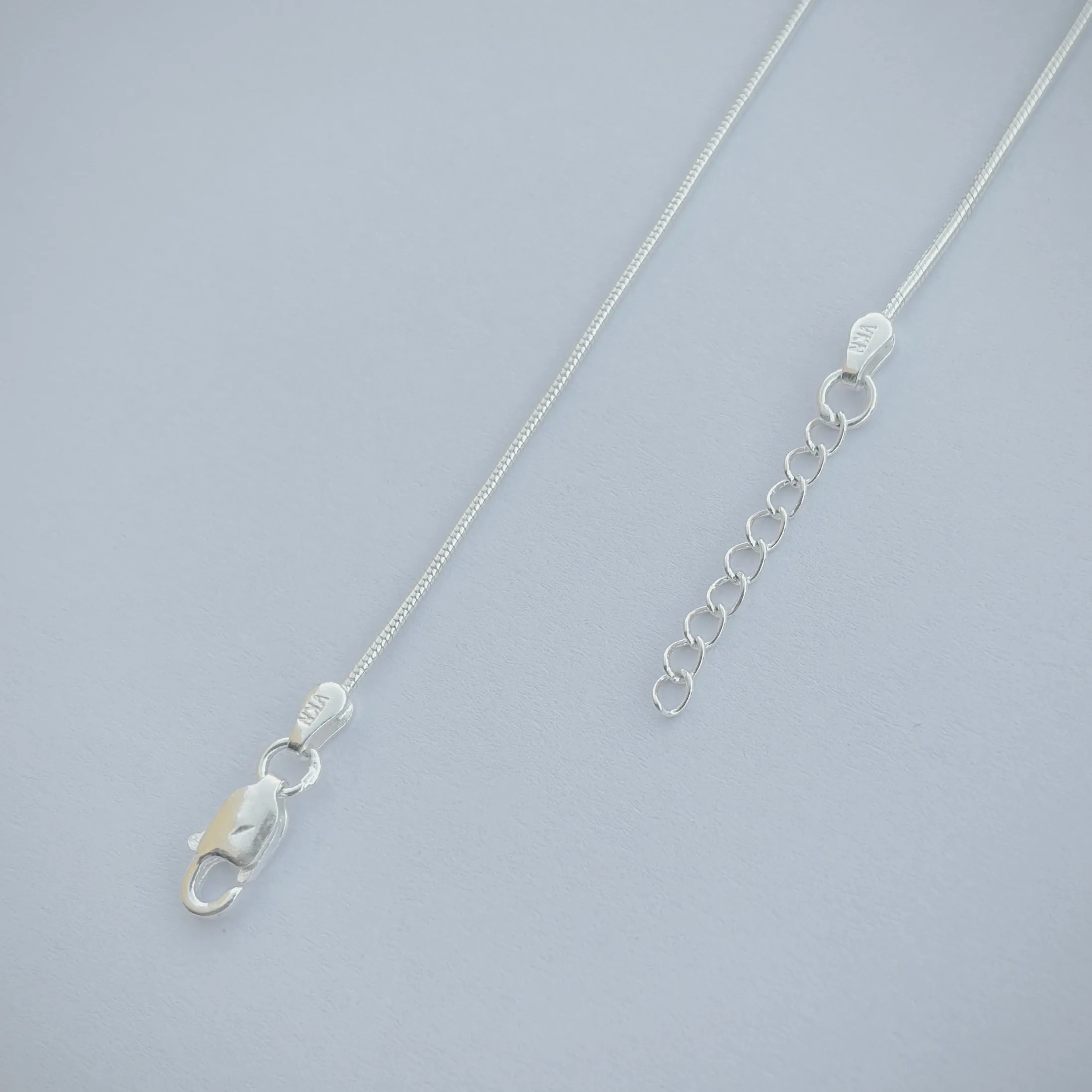 Trendy Silver Anklet with Silver Beads and Turtle Charm.